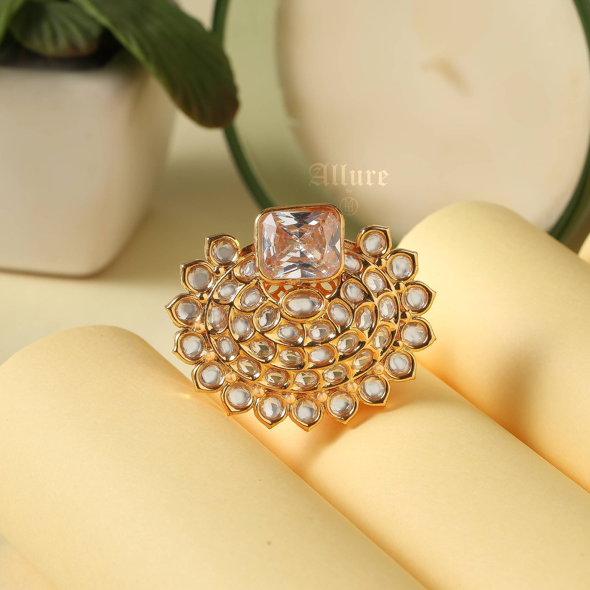 Tashfeen Ring